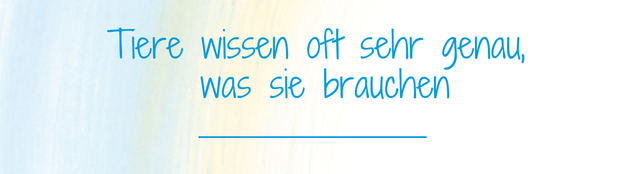 Tiere wissen oft sehr genau, was sie brauchen Tiere wissen oft sehr genau, was sie brauchen